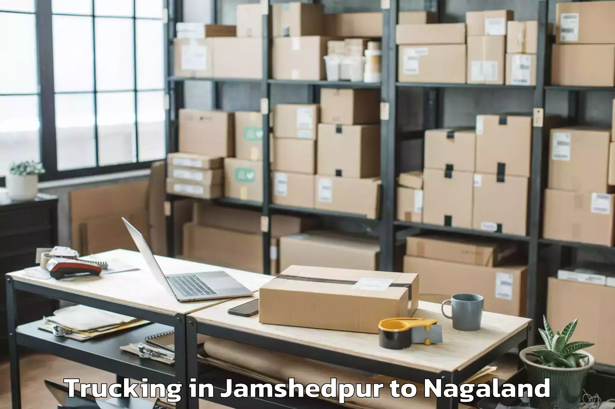 Easy Jamshedpur to Icfai University Nagaland Dima Trucking Booking